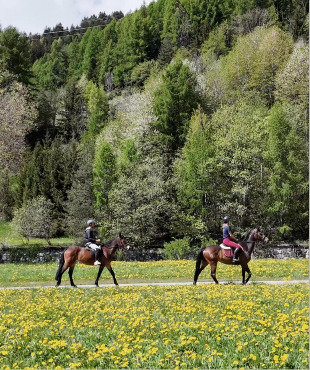Sankt Moritz Suite מראה חיצוני תמונה